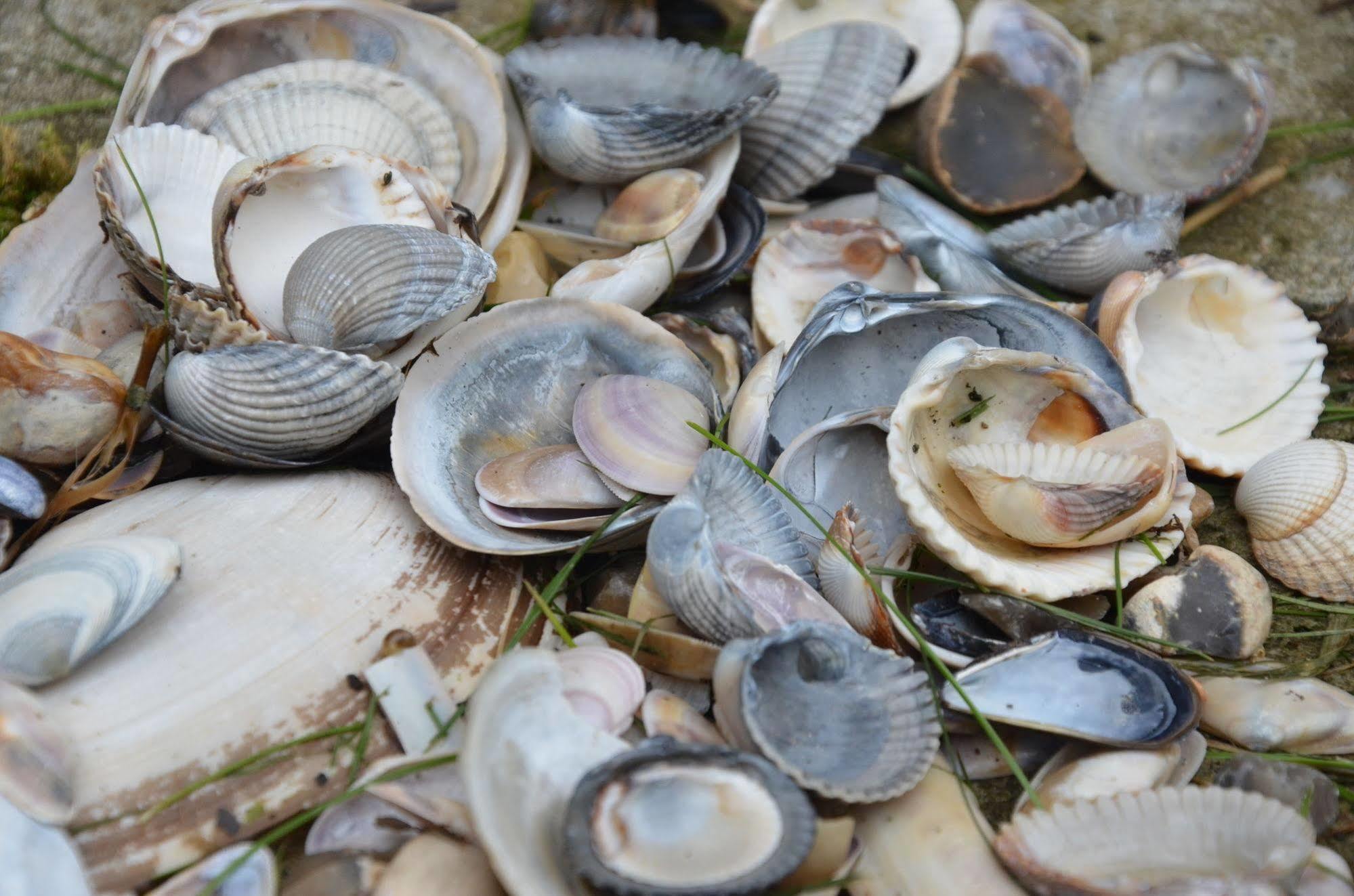 Dormio Resort Berck Sur Mer 外观 照片